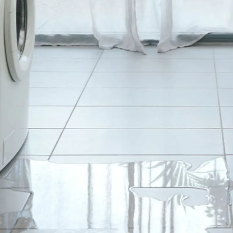 Appliance Leak Cleanup in Ridgecrest, FL