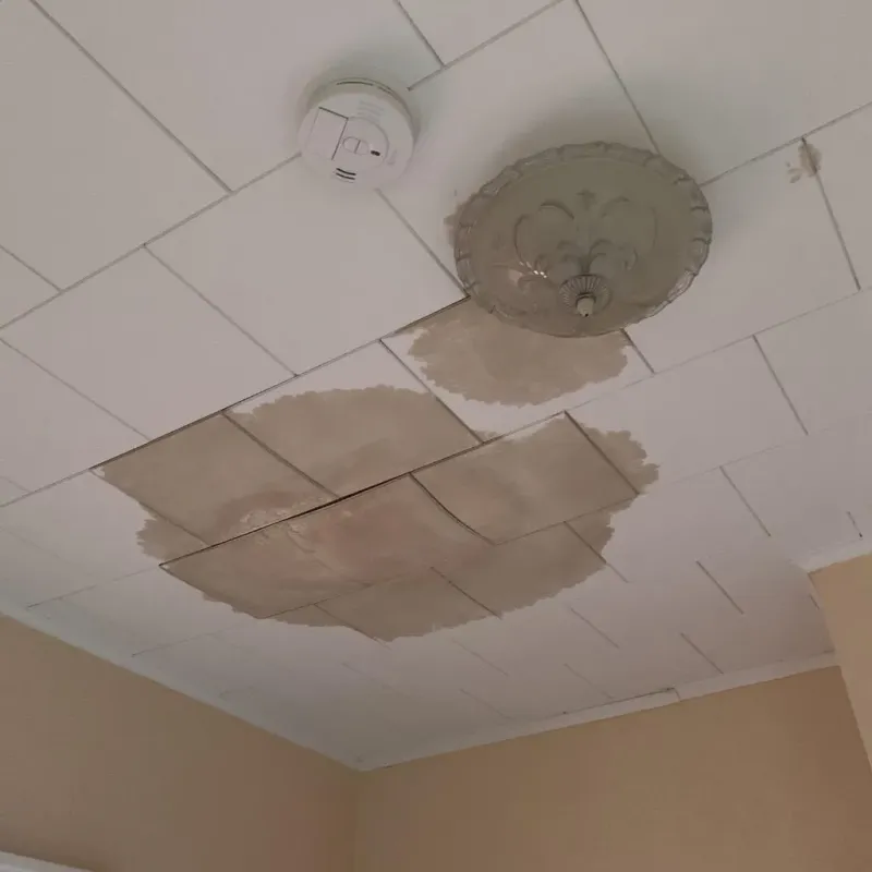 Ceiling Water Damage Repair in Ridgecrest, FL