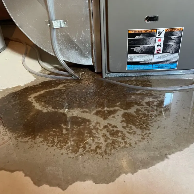 Pipe Burst and Leak Restoration in Ridgecrest, FL